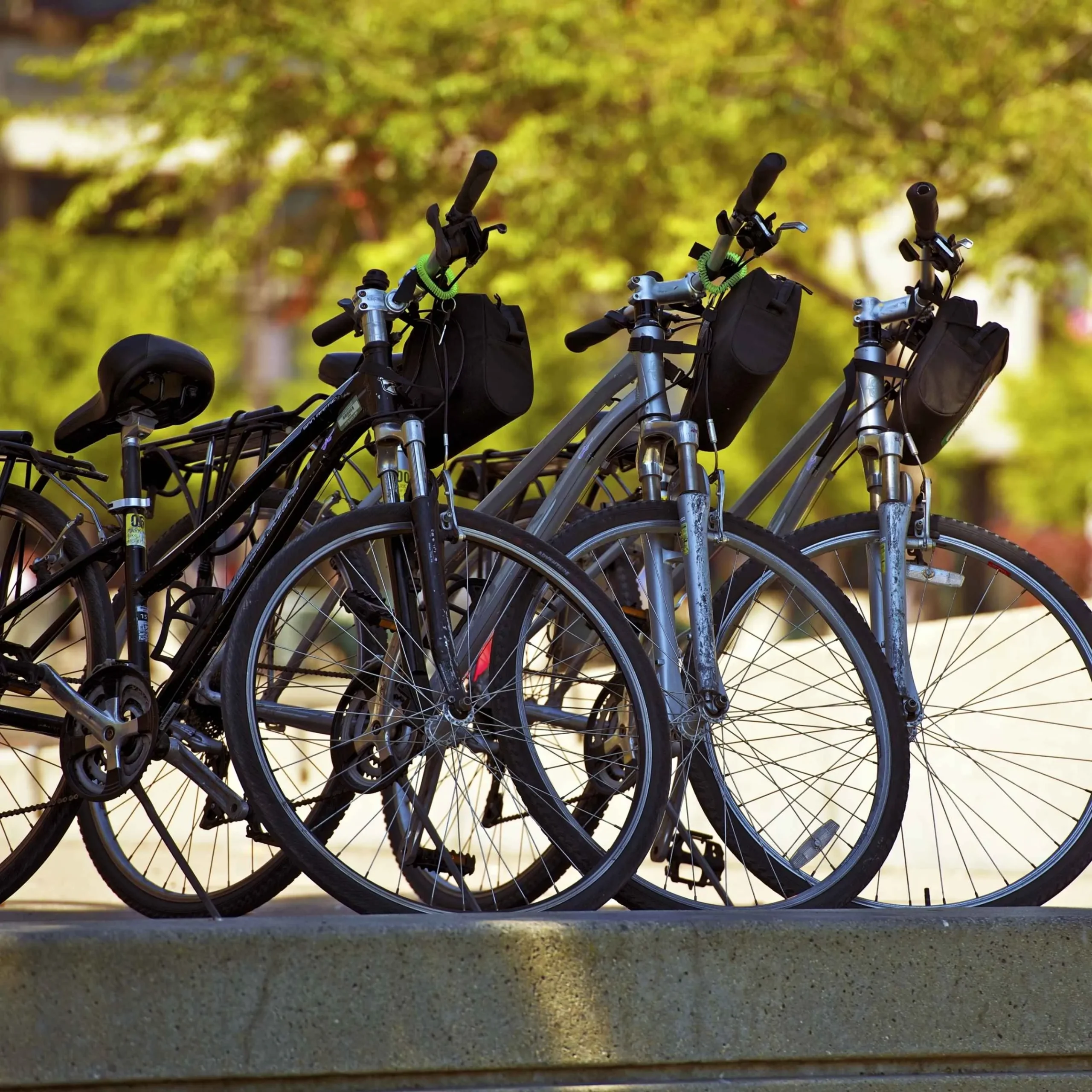 Volksfeesten Oele - fietstour