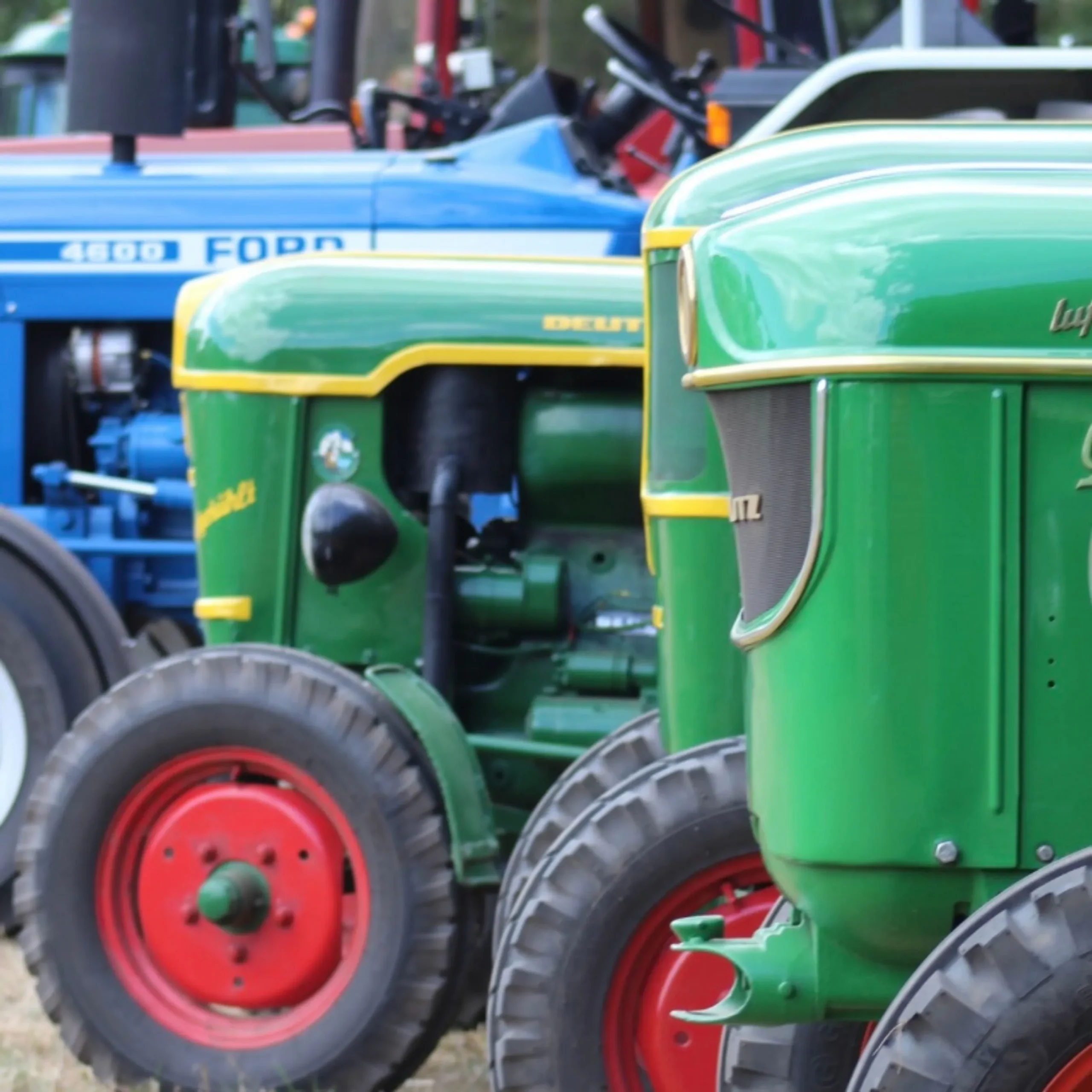 Volksfeesten Oele - olditmerrit